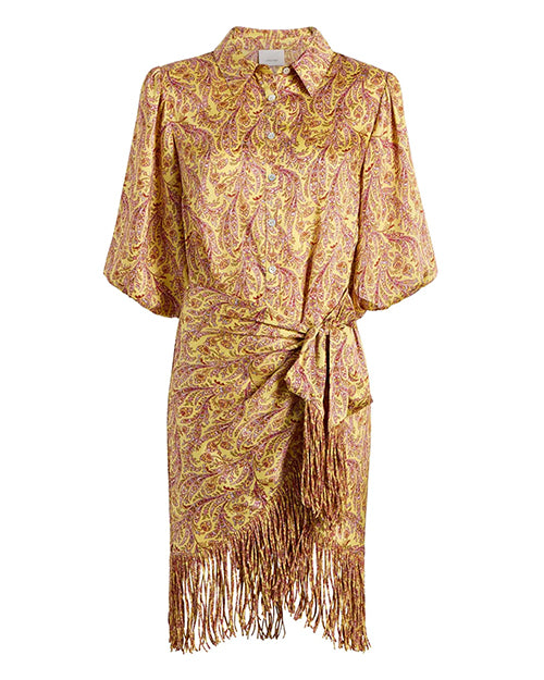 Dress with a yellow and pink paisley pattern, featuring a collared neckline, elbow-length sleeves, a wrap-style front, and fringe detailing at the hem on a white background