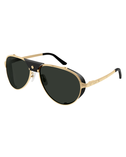 cartier ct0296s