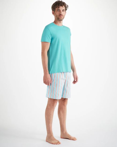 A man standing with stripe shorts on wearing a short sleeve turquoise plain shirt