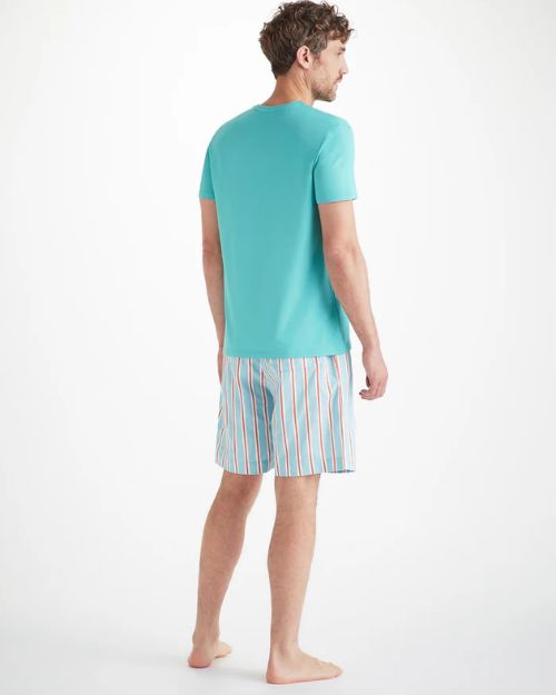 A man standing backwards with stripe shorts on wearing a short sleeve turquoise plain shirt