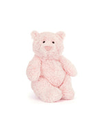 Front view of a Pink teddy bear on a white background