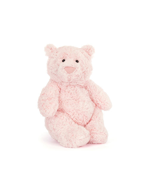 Front view of a Pink teddy bear on a white background