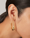 JENNY BIRD | Colette Medium Hoop Earrings | Gold