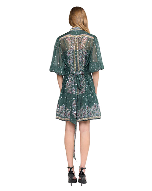 Back view of a person wearing a green dress with intricate floral and paisley patterns. The dress has short sleeves and a tie at the waist. The person is also wearing black high-heeled shoes.