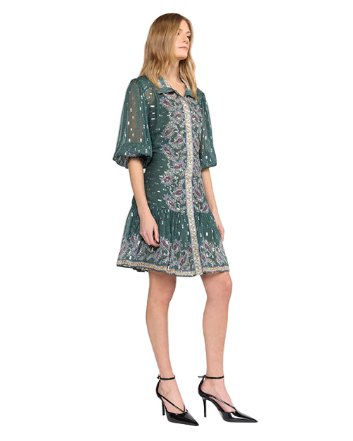 A person standing and wearing a green dress with intricate floral patterns and embellishments. The dress features three-quarter length sleeves, a collar, and buttons down the front. The person is also wearing black high-heeled shoes with ankle straps. The image is taken from the front-right angle, showcasing the dress's design and details.