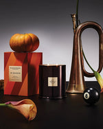 An elegant still life composition on a dark background featuring a brass trumpet, a small pumpkin, an orange and black box labeled ‘GLASSHOUSE IN SEASON’, a black candle with a gold emblem, an eight-ball from billiards, and a single flower with orange petals and green stem. The arrangement of objects creates an interesting mix of textures and colors that convey a sense of luxury and sophistication.