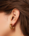 JENNY BIRD | Staple Hoop Medium Earrings | Gold
