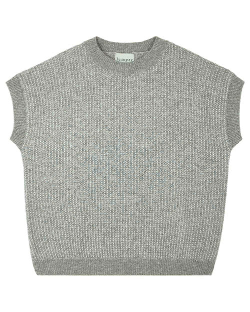 A gray knitted sleeveless sweater vest with a crew neckline and ribbed hem. The texture features a subtle woven pattern, and a small white tag with the word ‘jumper’ is visible inside the collar.