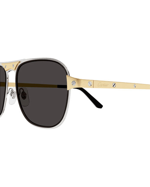 A pair of sunglasses with dark lenses and a metallic frame. The temples of the sunglasses are gold-colored with visible screws and the brand name 'Cartier' engraved on the side.