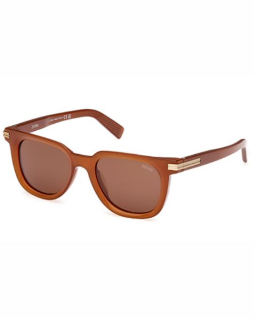 Brown sunglasses with gold details, showcasing a stylish and elegant design suitable for various occasions.