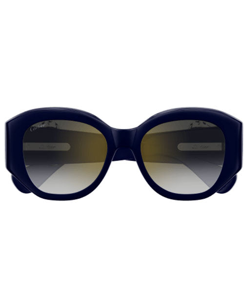  A stylish pair of sunglasses with a blue frame and grey lenses, ideal for adding flair to any outfit.