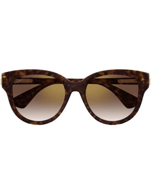 Cat eye sunglasses perfect for a chic and sophisticated look.
