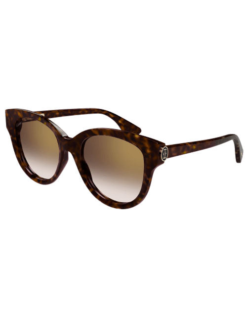Havana sunglasses with brown lenses, offering a chic look for sun protection and fashion.