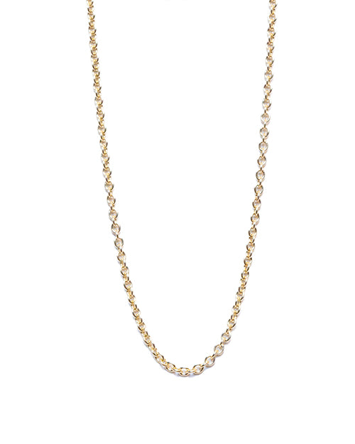 SYDNEY EVAN | Tiffany Chain Necklace | Gold