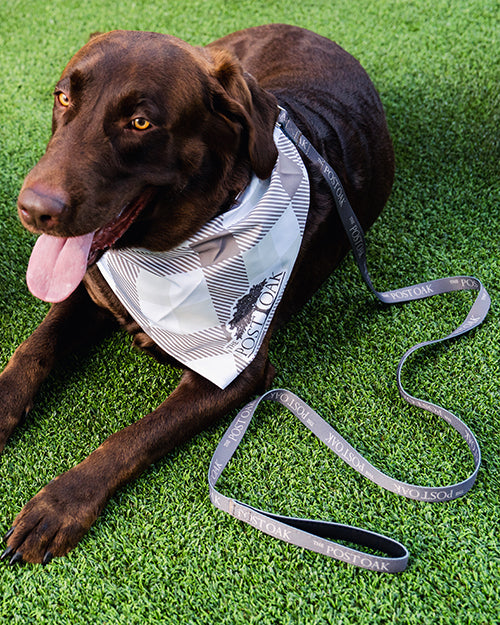 THE POST OAK | Eco Friendly Pet Leash