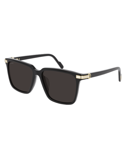 Black sunglasses with gold accents in front of white background.