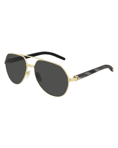 CARTIER CT0272S 001 Man Sunglasses 29 North Boutique at The