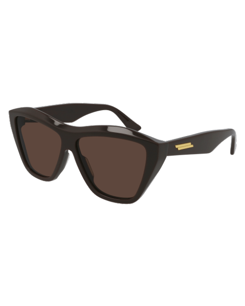 Thick brown sunglasses with brown lenses and gold accent on temple. 
