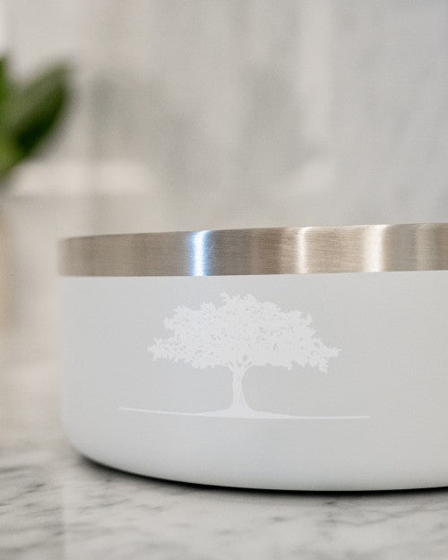 THE POST OAK | Insulated Pet Bowl 32oz.