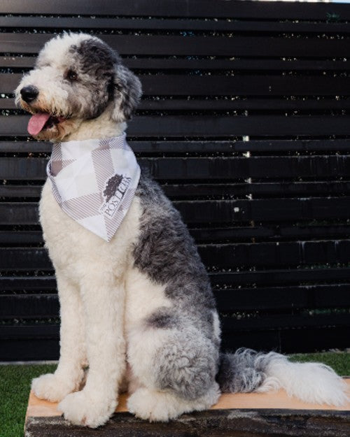THE POST OAK | Pet Bandana