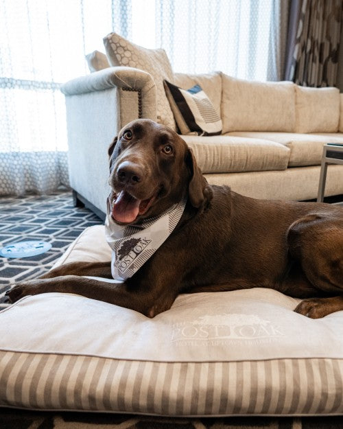 THE POST OAK | Pet Bed with Linen Cover